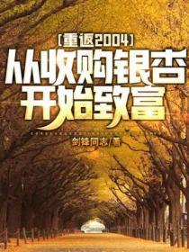 重返2004：从收购银杏开始致富