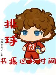 排球：共振过的时间