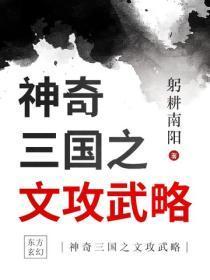 神奇三国之文攻武略