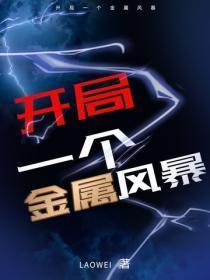 开局一个金属风暴