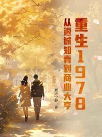 重生1978：从返城知青到商业大亨