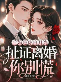 后妈是你白月光，扯证离婚你别慌