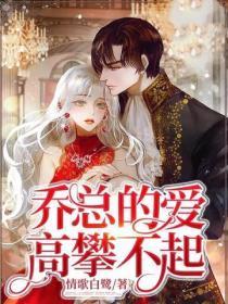 乔总的爱高攀不起