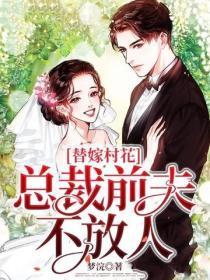 替嫁村花，总裁前夫不放人