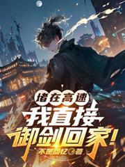 堵在高速，我直接御剑回家！