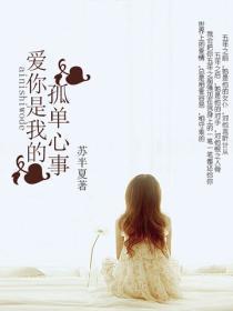 爱你是我的孤单心事