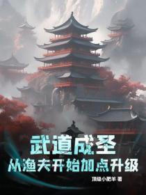 武道成圣，从渔夫开始加点升级