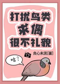 打扰鸟类求偶很不礼貌