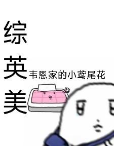 ［综英美］韦恩家的小鸢尾花