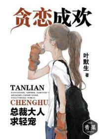 贪恋成欢：总裁大人求轻宠