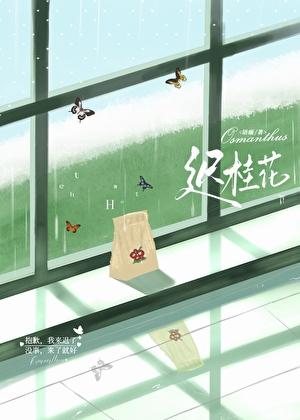 迟桂花[男暗恋]