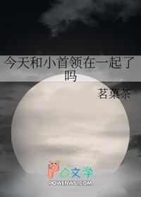 [综漫] 今天和小首领在一起了吗
