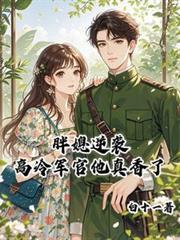 胖媳逆袭，高冷军官他真香了