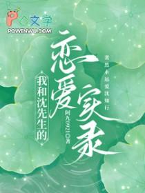 我和沈先生的恋爱实录