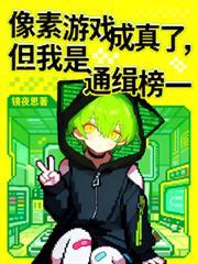 像素游戏成真了，但我是通缉榜一