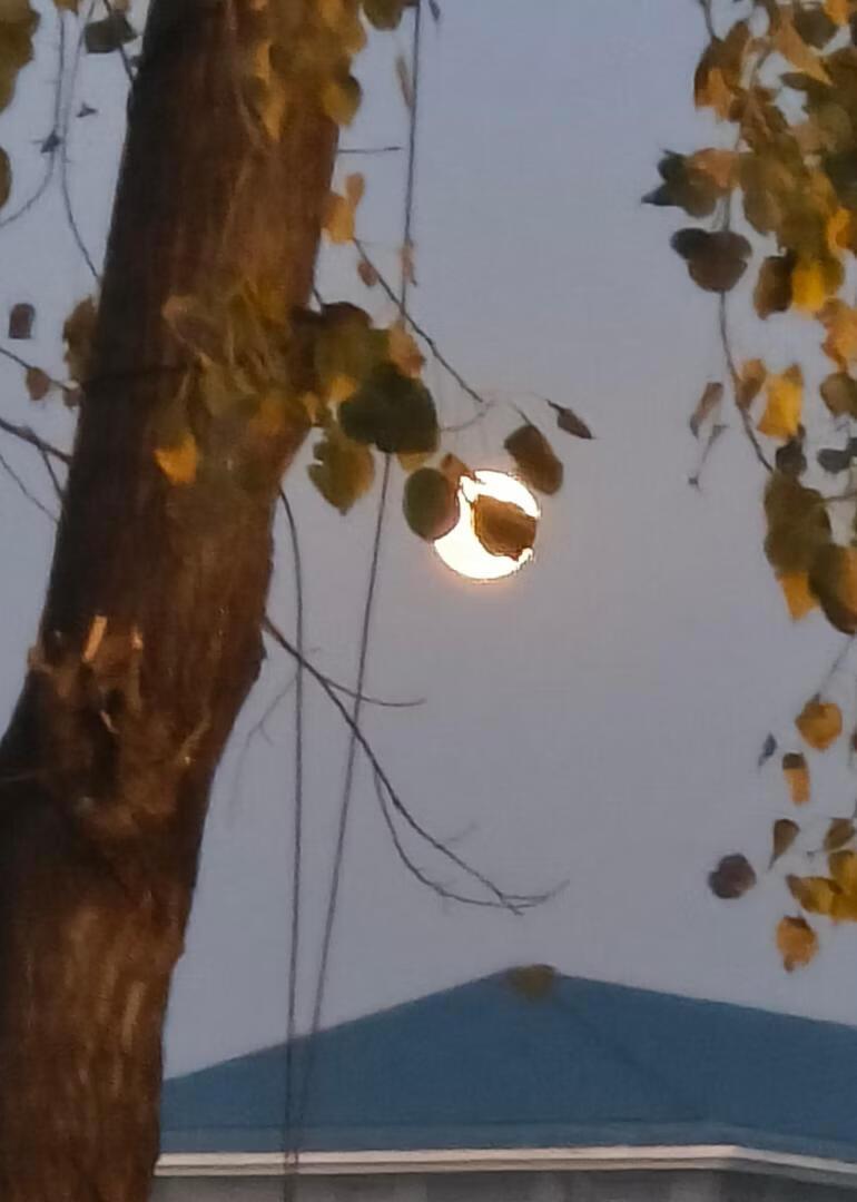 玫瑰岛没有童话(HE)