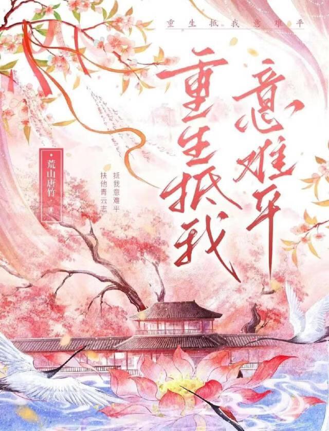 重生抵我意难平