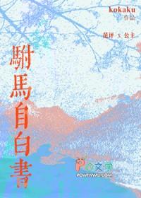驸马自白书