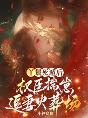 丫鬟死遁后，权臣揣崽追妻火葬场