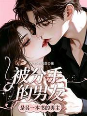 被分手的男友是另一本书男主