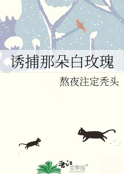 诱捕那朵白玫瑰