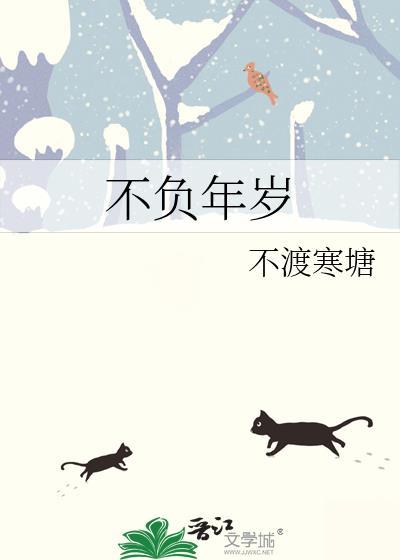 不负年岁