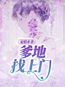 沐晴天景司寒