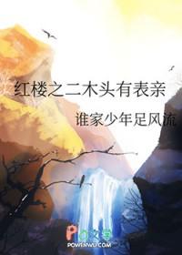 [红楼梦同人] 红楼之二木头有表亲