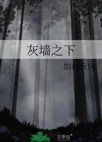 灰墙之下