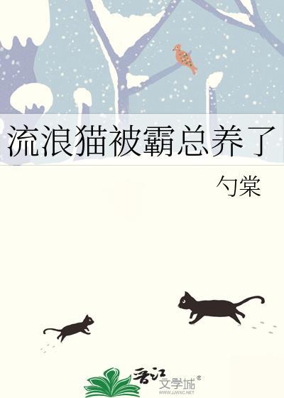流浪猫被霸总养了