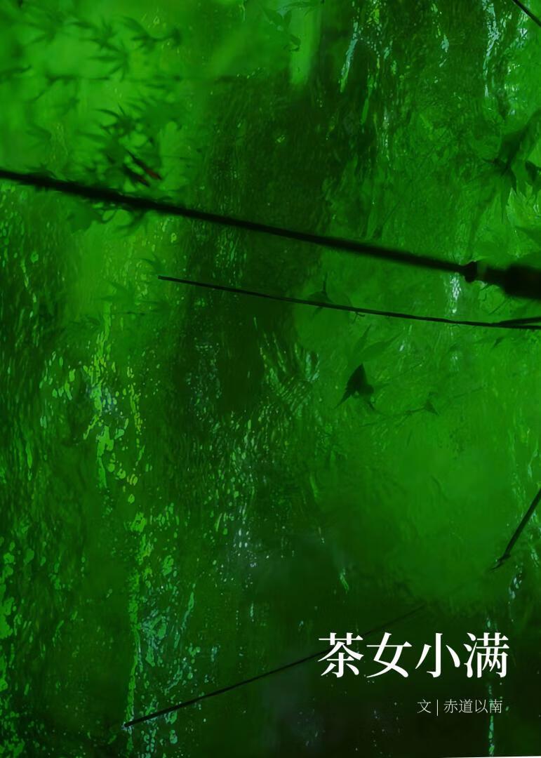 茶女小满