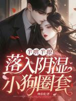 明岁欢谈叙白