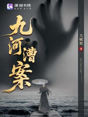 九河漕案