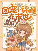 陆晚晚陆晟尧