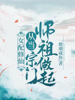 许意陆在野