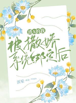 渣A，但绑定撒娇系统