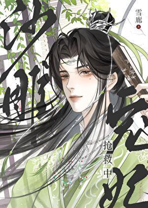 沙雕宠妃抢救中