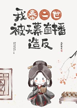 我秦二世被天幕直播造反