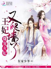 报告王爷，王妃又被抢了！