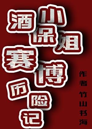 酒保小姐赛博历险记