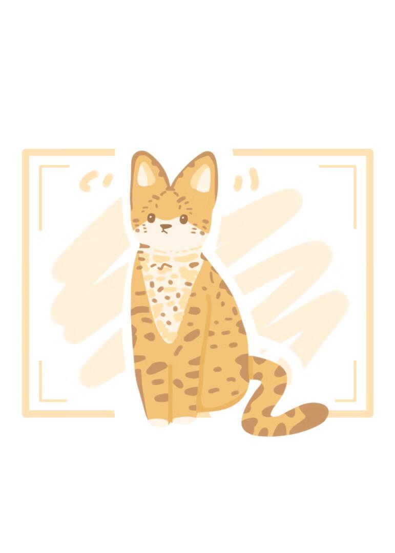 小猫能有什么心眼呢