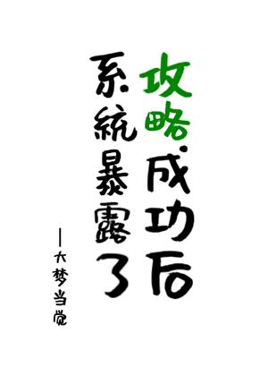 攻略成功后，系统暴露了