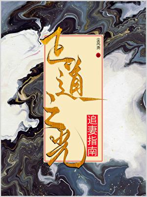 正道之光追妻指南