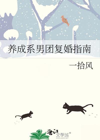 养成系男团复婚指南
