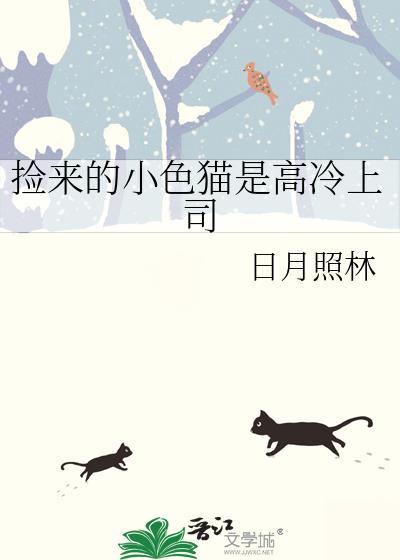 捡来的小色猫是高冷上司