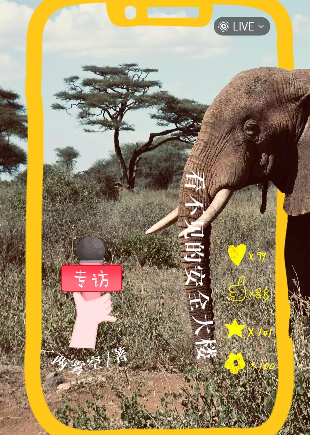 间谍，但直播做安全主理人