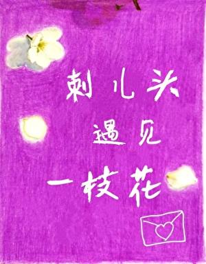 刺儿头遇见一枝花